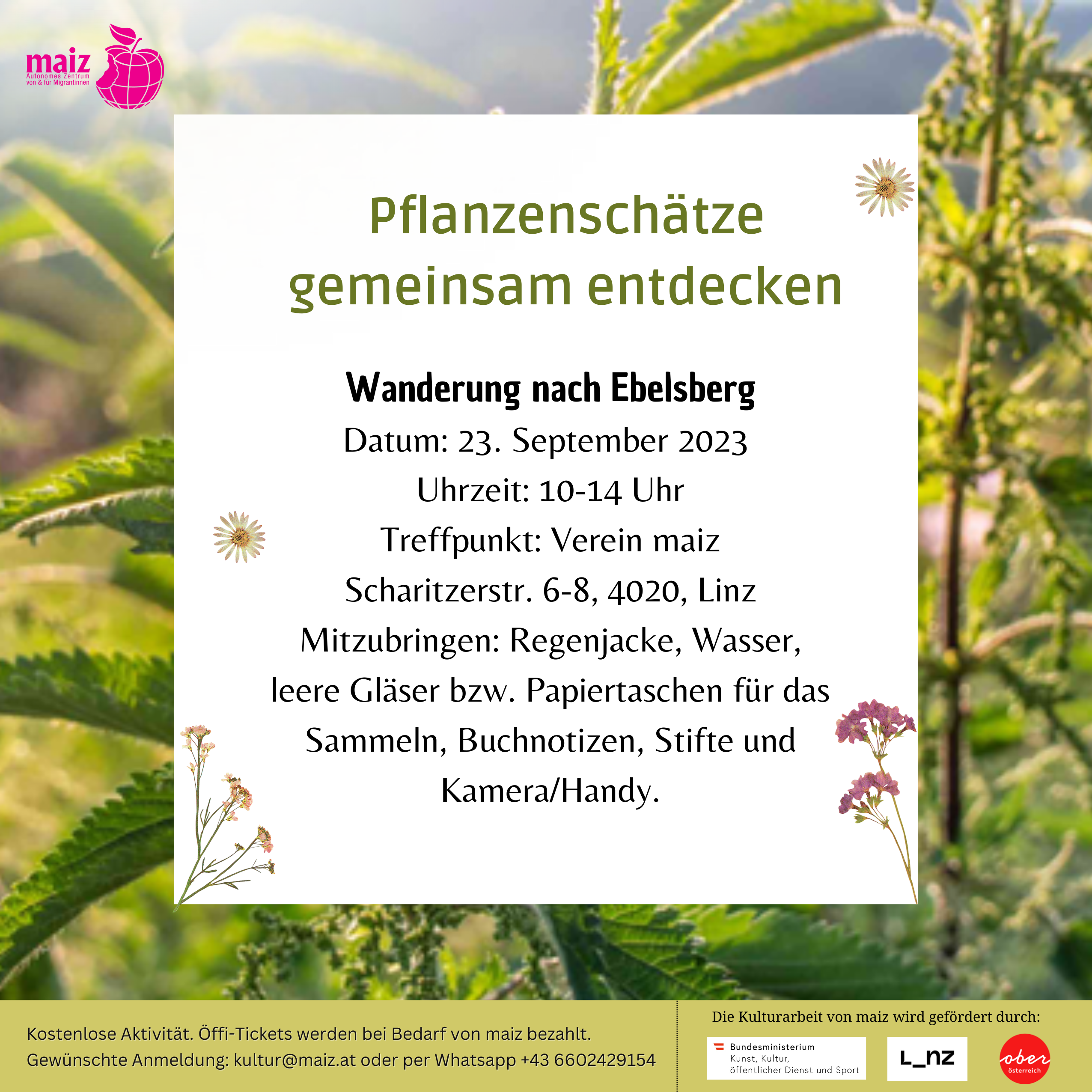 Flyer mit Informationen von Workshop auf einem Hintergrund mit Blättern