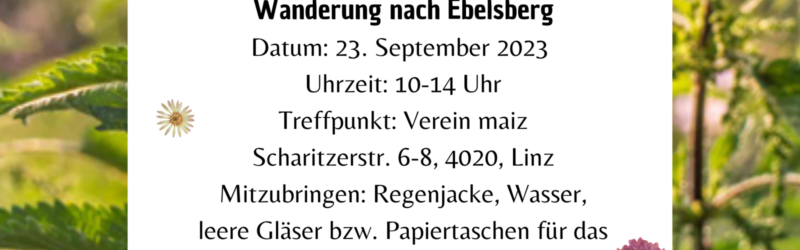 Flyer mit Informationen auf Hintergrund mit Pflanzen