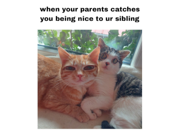 siblings