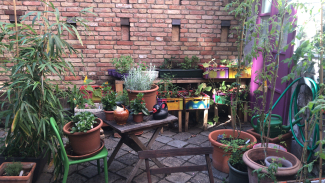Garten im Hof